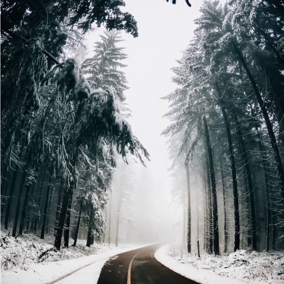 🐕🐻Help Rescue Animals🐬🐖🐑 #STOPAnimalCruelty💔 - Picture 16 of 16